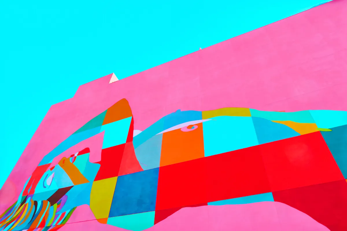 Image that's part of the gallery of images for the website